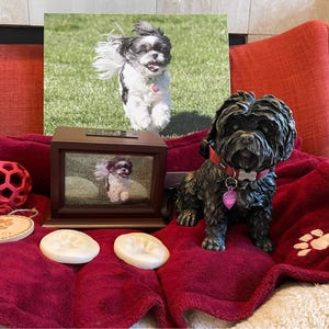 Jane added a photo of their purchase