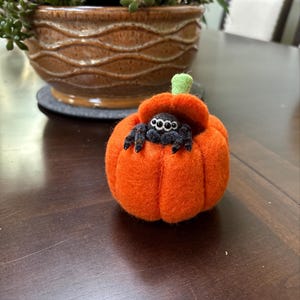 Needle Felted Jumping Spider Sculpture, Pumpkin Home, Kawaii