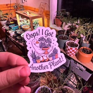 Laci added a photo of their purchase