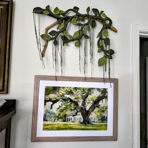 Thomesa added a photo of their purchase