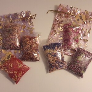 280 Fleurs Séchées Miniatures Pour DIY - Résine, Bijoux, Nail Art, Scrapbooking | Couleurs Variées, Naturelles | Boîte De Rangement