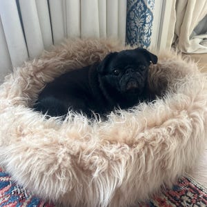Laura added a photo of their purchase