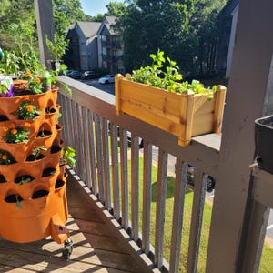 Princess added a photo of their purchase