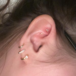 Shelby added a photo of their purchase