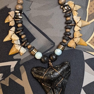 Koga added a photo of their purchase