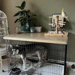 Jackie added a photo of their purchase