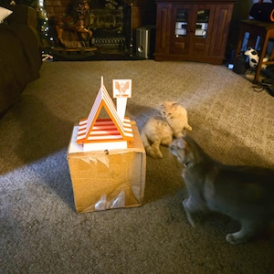 G added a photo of their purchase
