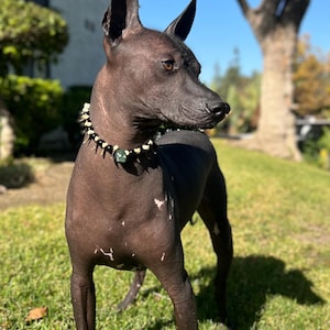 I added a photo of their purchase