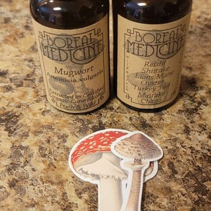 ArtistLady added a photo of their purchase