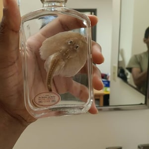 Desiree added a photo of their purchase