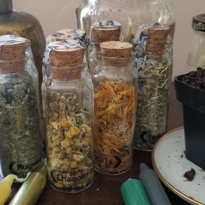 Nagkesar Seeds, Packaging Type : Plastic Bag at Best Price in Nagkesar Seeds, Packaging Type : Plastic Bag at Best Price in