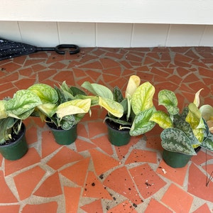Margary added a photo of their purchase