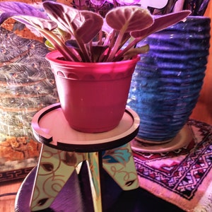 Tove added a photo of their purchase
