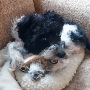 Anne added a photo of their purchase