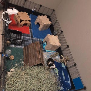 Nick added a photo of their purchase