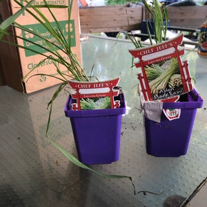 Acheteur Etsy a ajouté une photo de son achat