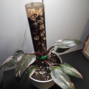 Christina added a photo of their purchase