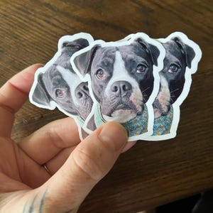 Cindy added a photo of their purchase