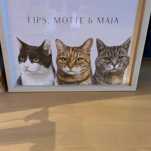 Elena hat ein Foto des gekauften Artikels hinzugefügt