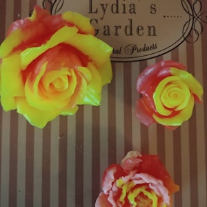 Lydia added a photo of their purchase