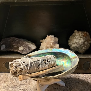 Delma added a photo of their purchase