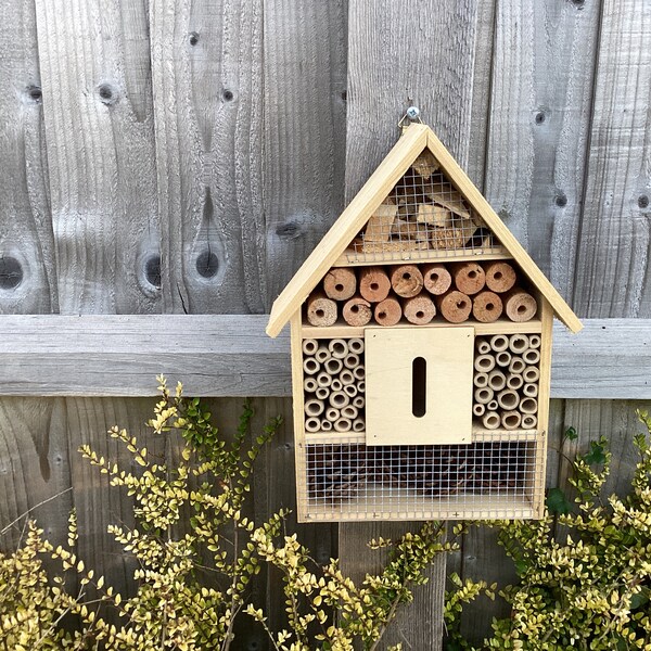 8-Quart Digital Air Fryer