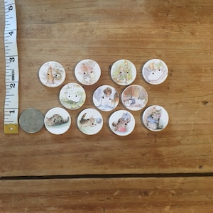 Peter Rabbit Buttons Beatrix Potter 1 Buttons | Etsy