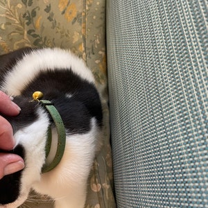 Lisa hat ein Foto des gekauften Artikels hinzugefügt