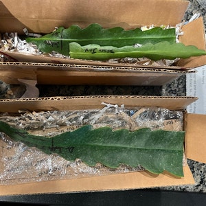 Trish added a photo of their purchase