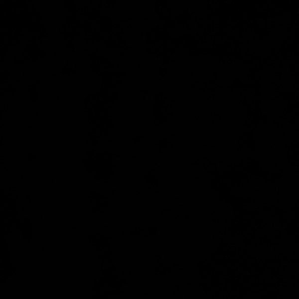 Treask T-Shirt Jolly Roger Teschio E Ossa Incrociate - Maglietta Bandiera Pirata, 100% Cotone, Uomo
