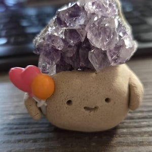 Susan added a photo of their purchase