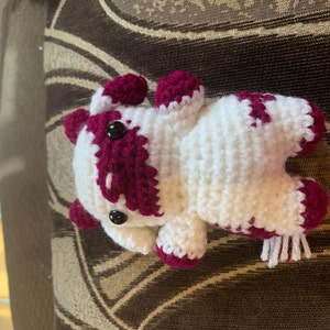 Paula added a photo of their purchase