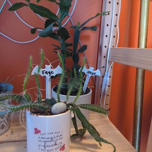 Autumn added a photo of their purchase