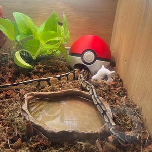 Veronica added a photo of their purchase
