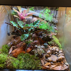 Ann added a photo of their purchase