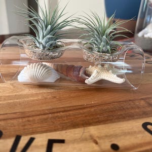 Carrie added a photo of their purchase