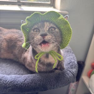 Tam added a photo of their purchase