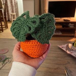 Lucie added a photo of their purchase