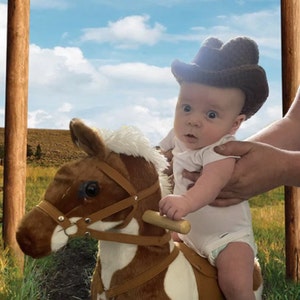 Joyce added a photo of their purchase
