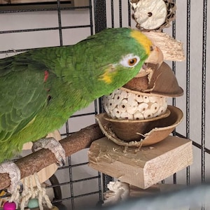 Bonnie ha aggiunto una foto del proprio acquisto