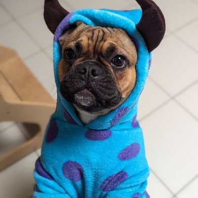 Baja Dog Poncho SIZE 3-mexican Dog Hoodie-mexican Poncho dog Sweater