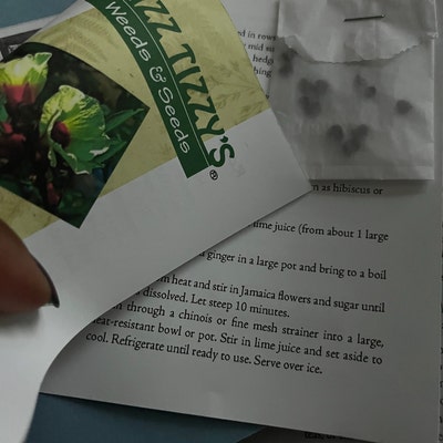 2000 Semi Assenzio Maggiore Artemisia Absinthium Wormwood Absinthe - Foto 10