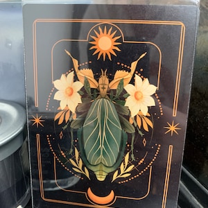 Eivissa a ajouté une photo de son achat