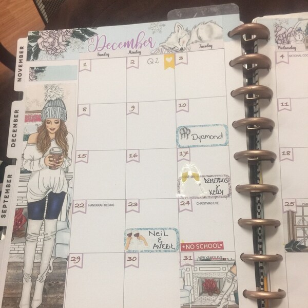 January 2021 Monthly Stickers Erin Condren Life Planner Vertical View ...