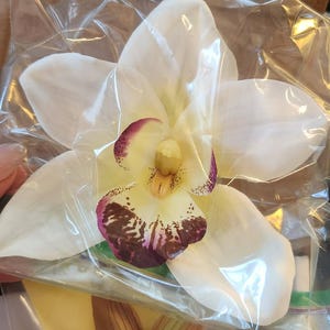 Kay added a photo of their purchase
