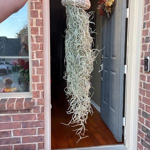 Valorie added a photo of their purchase