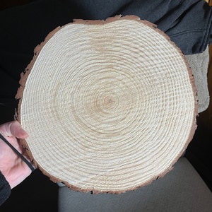 Mua KARAVELLA X Large Wood Slices for Centerpieces - 5 Pack Wood  Centerpieces for Tables, 12-13 inches, Rustic Wedding Centerpiece, Natural  Wood Slabs trên  Mỹ chính hãng 2024