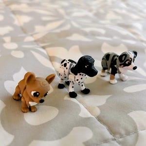 Shannon added a photo of their purchase