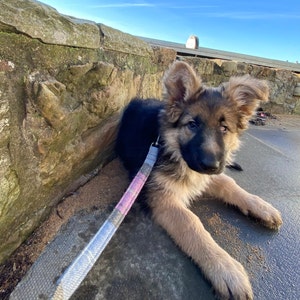 Jill added a photo of their purchase