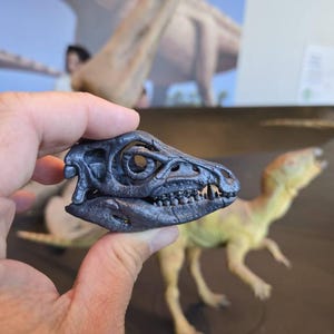 Tony added a photo of their purchase
